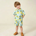 Summer Organic Cotton Baby Boy Suits Cute Printed Boy Short Sleeve Tshirt + Shorts Kids Clothes