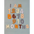 20pcs Baby Monthly Milestone Felt Numbers and Letters Newborn Photography Props Photo Number Sign Milestone Markers Shower Gifts