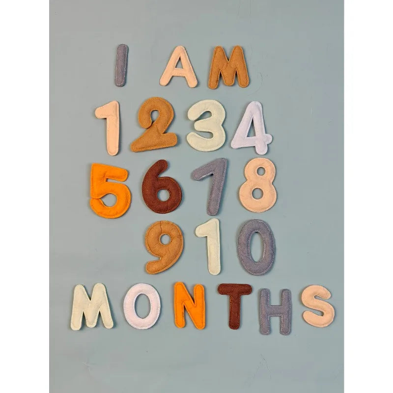 20pcs Baby Monthly Milestone Felt Numbers and Letters Newborn Photography Props Photo Number Sign Milestone Markers Shower Gifts